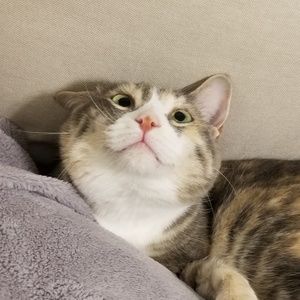 Meet your Posher, Emma